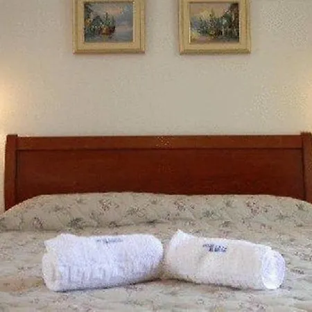 Alkion クリオピギ